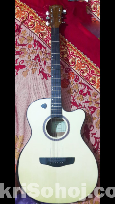 Deviser Acoustic Guitar with Capo + Ibanez Cover Free
